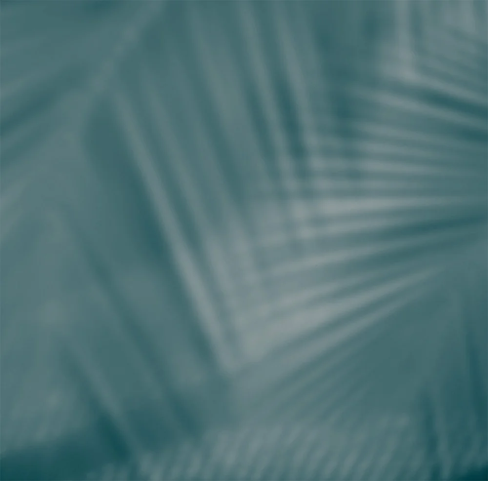 Blurred, abstract background image in a muted teal/dark cyan color, showing the soft shadow or outline of large palm fronds, creating a texture effect.